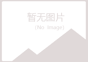 文山夏日咨询有限公司